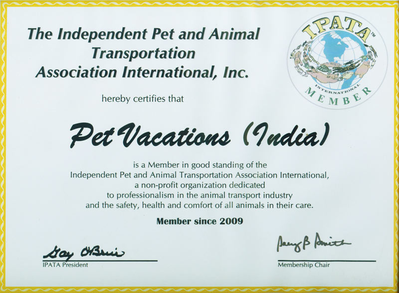 IPATA Certificate