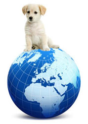Pet Export Worldwide